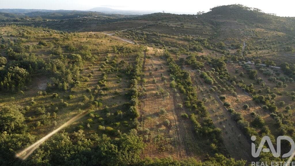 Rustic Olive Grove β ChΓ£os, Portugal