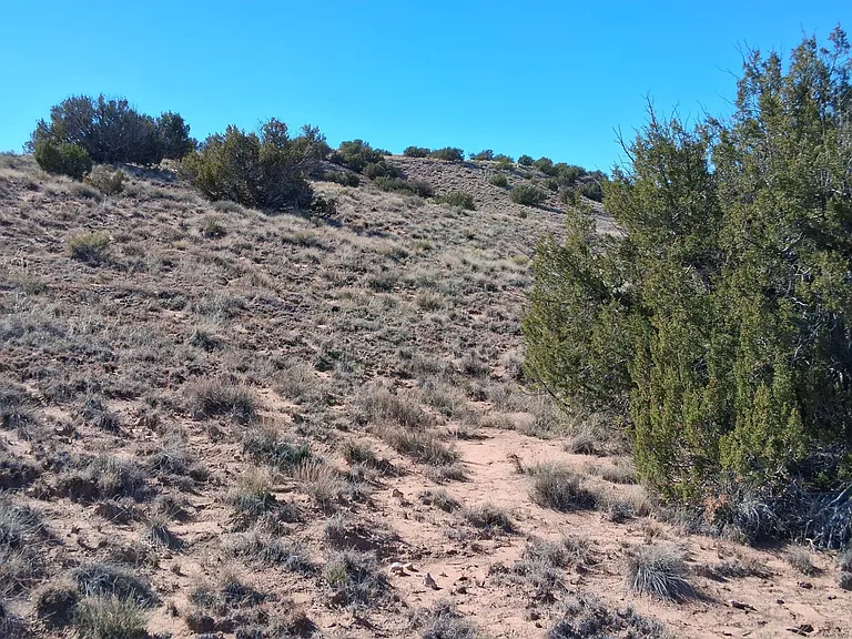 Rolling Hills Retreat β Sanders, Arizona